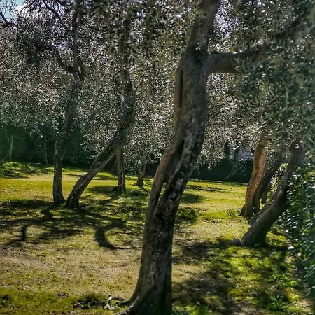 Camping Baldo Brenzone sul Garda Buitenkant foto