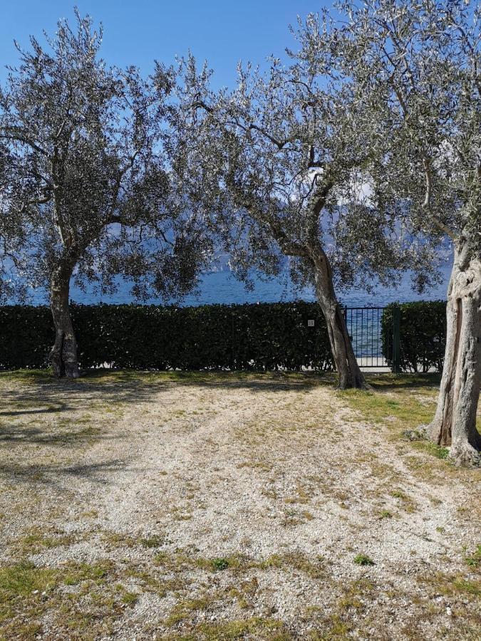 Baldo Brenzone sul Garda