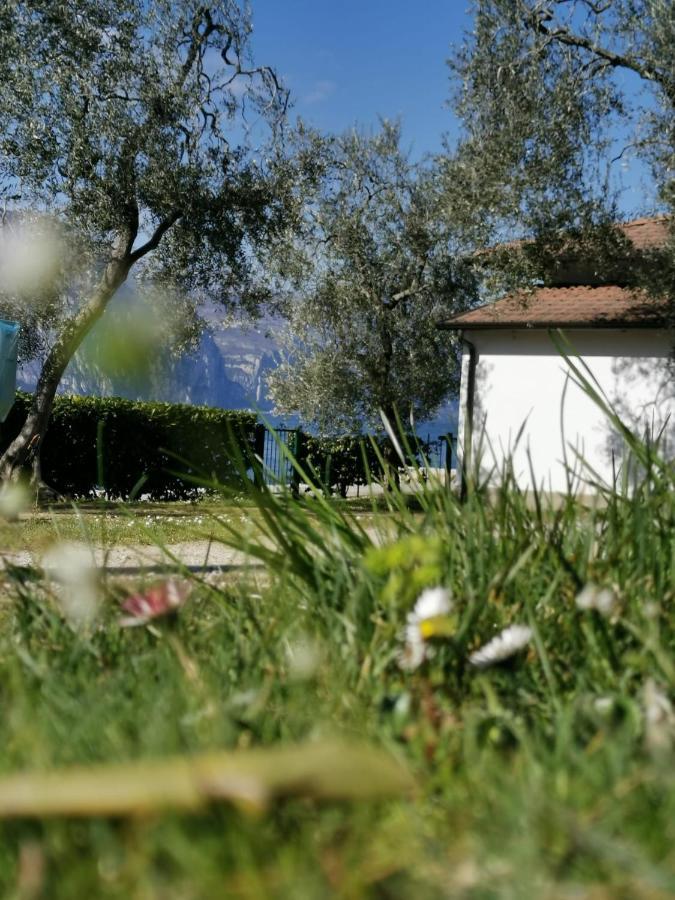 Campsite Baldo *