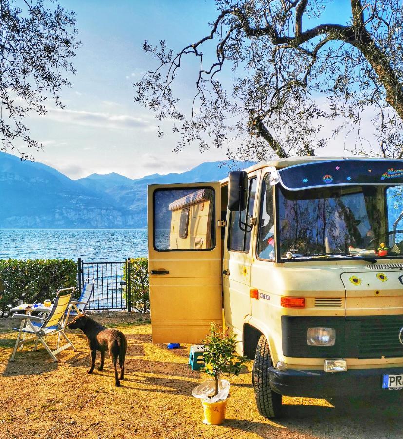 Baldo Camping *