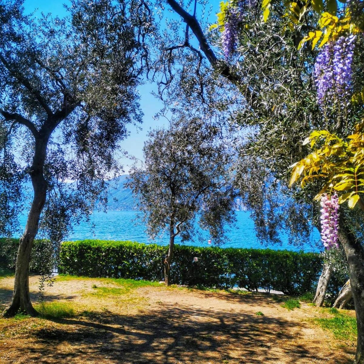 Camping Baldo Brenzone sul Garda